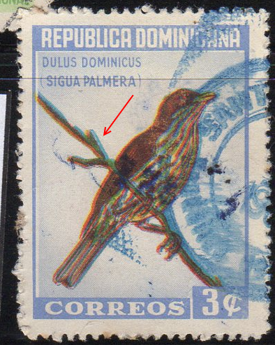 1964 Palm Chat